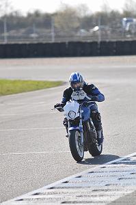 debutant (16)